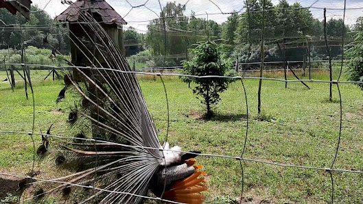 PRZEDSZKOLE SPECJALNE W SZYMANOWIE - zdjęcie 1