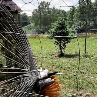 PRZEDSZKOLE SPECJALNE W SZYMANOWIE image 1