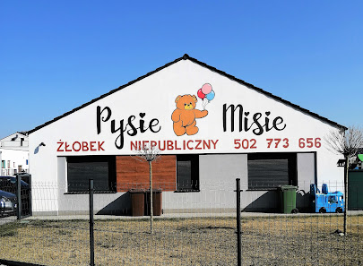 Niepubliczny Żłobek Pysie Misie Marcelina Sieletycka - zdjęcie 1