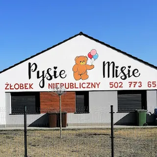 Niepubliczny Żłobek Pysie Misie Marcelina Sieletycka image 1