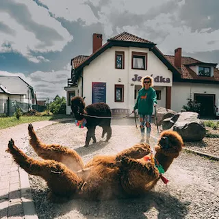 Punkt Przedszkolny Akademia Malucha Jagódka image 1