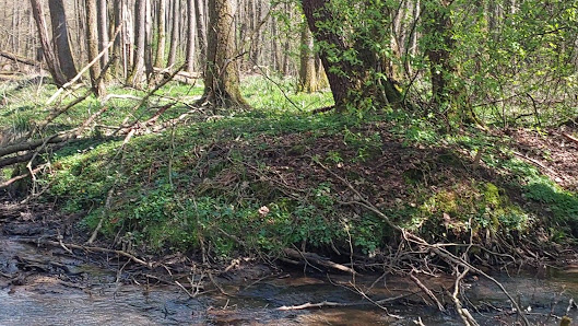 Przedszkole Niepubliczne Ekoludki We Wrześnicy - zdjęcie 1
