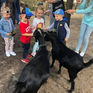 Przedszkole Niepubliczne Marchewka ul. Sobieskiego image 2
