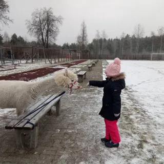 PRZEDSZKOLE NIEPUBLICZNE SIÓSTR RODZINY MARYI image 1