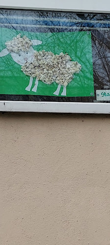 PRZEDSZKOLE SPECJALNE NR 249 - zdjęcie 1