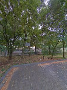 Przedszkole Publiczne Nr 8 Im Króla Maciusia I W Radomiu - zdjęcie 1