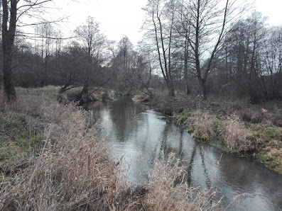 Samorządowe Przedszkole W Przygłowie - zdjęcie 1