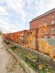 Przedszkole i Żłobek Norlandia Kuronia - zdjęcie 1