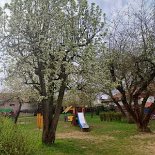 Przedszkole Miejskie Nr 3 W Olsztynie image 1