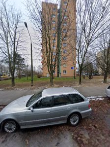 NIEZAPOMINAJKA - zdjęcie 1