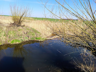 Przedszkole Publiczne Bajkowy Świat Z Siedzibą W Sadach Ul Kobylnicka 10C - zdjęcie 1