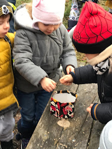 Przedszkole Publiczne Nr 17   we Włocławku - zdjęcie 1