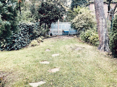 Misiowa Kraina 2 - zdjęcie 1