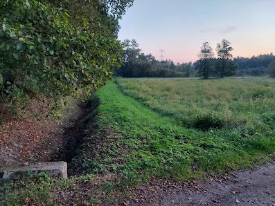 Przedszkole Samorządowe W Olszynach - zdjęcie 1