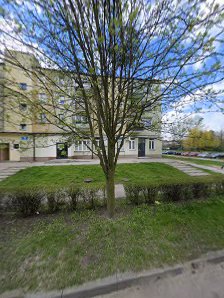 Niepubliczne Przedszkole Zielona Kraina - zdjęcie 1