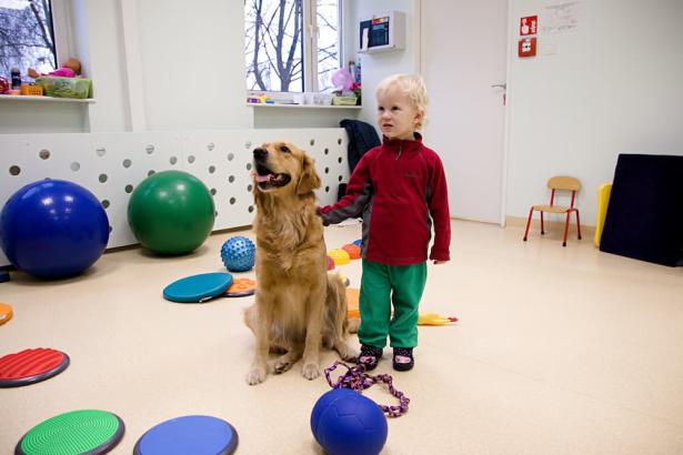 Innowacyjne Przedszkole Sensoryczne Plastynka - zdjęcie 1