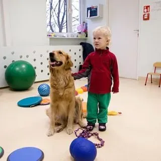 Innowacyjne Przedszkole Sensoryczne Plastynka - zdjęcie 1