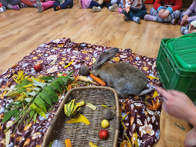 Niepubliczny Punkt Przedszkolny Nr 4 Garden Kids - zdjęcie 1