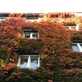 PRZEDSZKOLE NIEPUBLICZNE ZGROMADZENIA SIÓSTR URSZULANEK SJK IM. ŚW. URSZULI LEDÓCHOWSKIEJ image 3