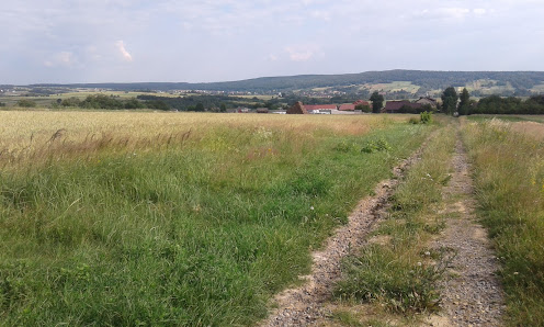 PUNKT PRZEDSZKOLNY W SZKOLE PODSTAWOWEJ W HUCIE PODŁYSICY - zdjęcie 1