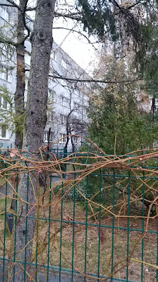 PRZEDSZKOLE NR 268 "SŁONECZNY PROMYK" - zdjęcie 1