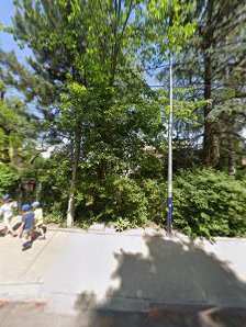 Niepubliczne Przedszkole Ogrody Muzyki - zdjęcie 1