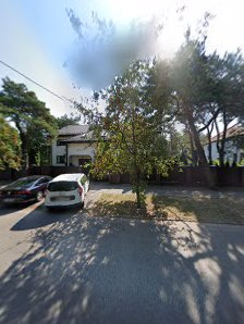 PUNKT PRZEDSZKOLNY ZIELONE SŁONIE - zdjęcie 1