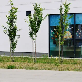 Mali odkrywcy  żłobek rozbudzający ciekawość świata image 1
