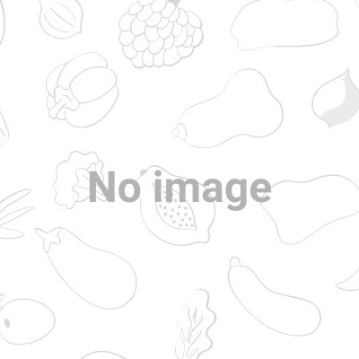 Lakme Absolute Perfect Radiance Skin Brightening Day Creme 50 g Lakme Absolute Perfect Radiance Skin Brightening Day Creme 50 g