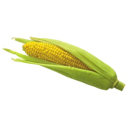 Sweet Corn 1 pc Sweet Corn 1 pc