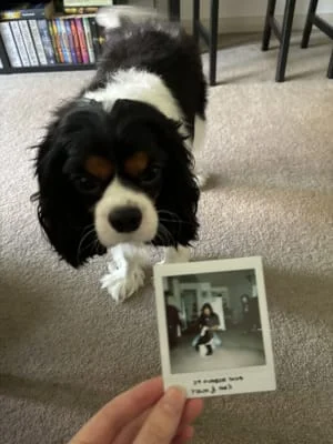 Sitter Profile Image: Yulin 