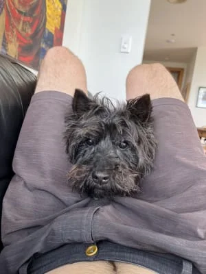 Sitter Profile Image: Jack 