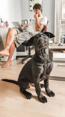 Sitter Profile Image: Maria Belen & Ignacio 
