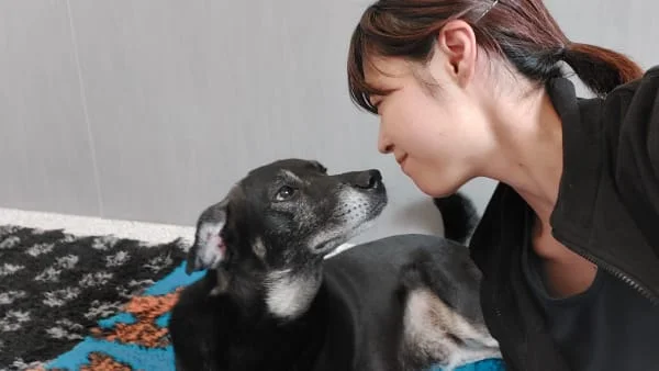 Sitter Profile Image: Nozomi & Thomas 