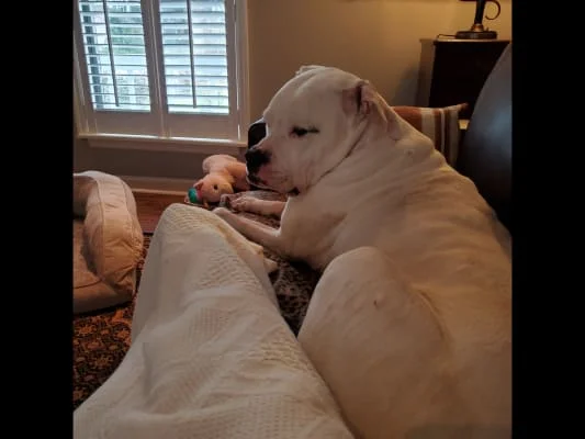 Sitter Profile Image: SIDNEY ROBERTA 