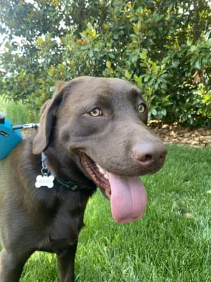 Sitter Profile Image: Sitton 