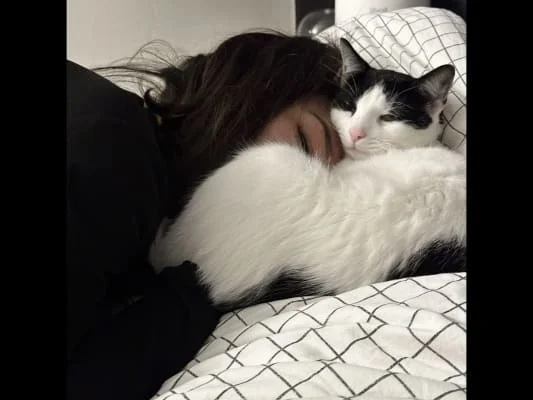 Sitter Profile Image: Jessie Wu 