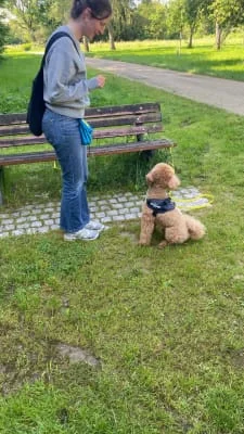 Sitter Profile Image: Matilda 