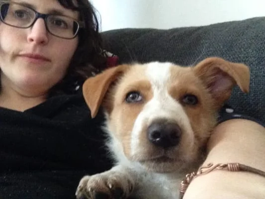 Sitter Profile Image: Myfanwy 