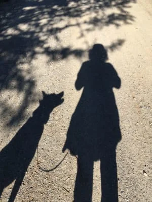 Sitter Profile Image: Scratch & Abbe 