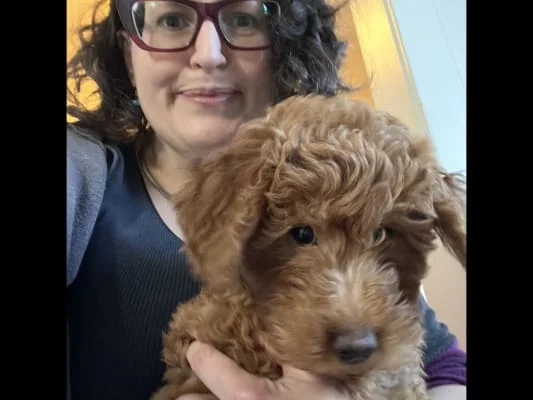 Sitter Profile Image: Myfanwy 