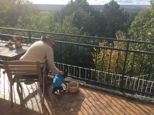 Sitter Profile Image: Tulin & Bruce 