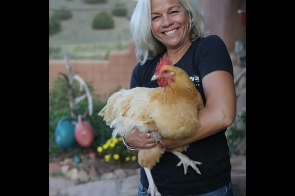 Owner Image