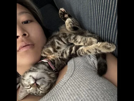 Sitter Profile Image: Chaeryeong 