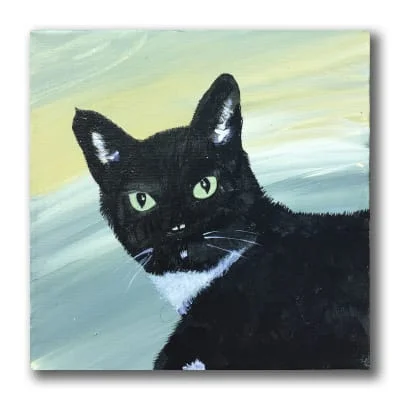 Sitter Profile Image: suni 