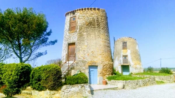 Owner Image