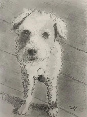 Sitter Profile Image: Sage 