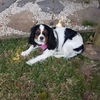 Sitter Profile Image: Prue 