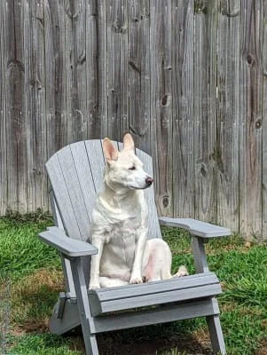 Sitter Profile Image: Tanner 