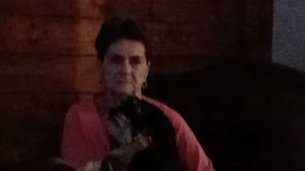 Owner Image